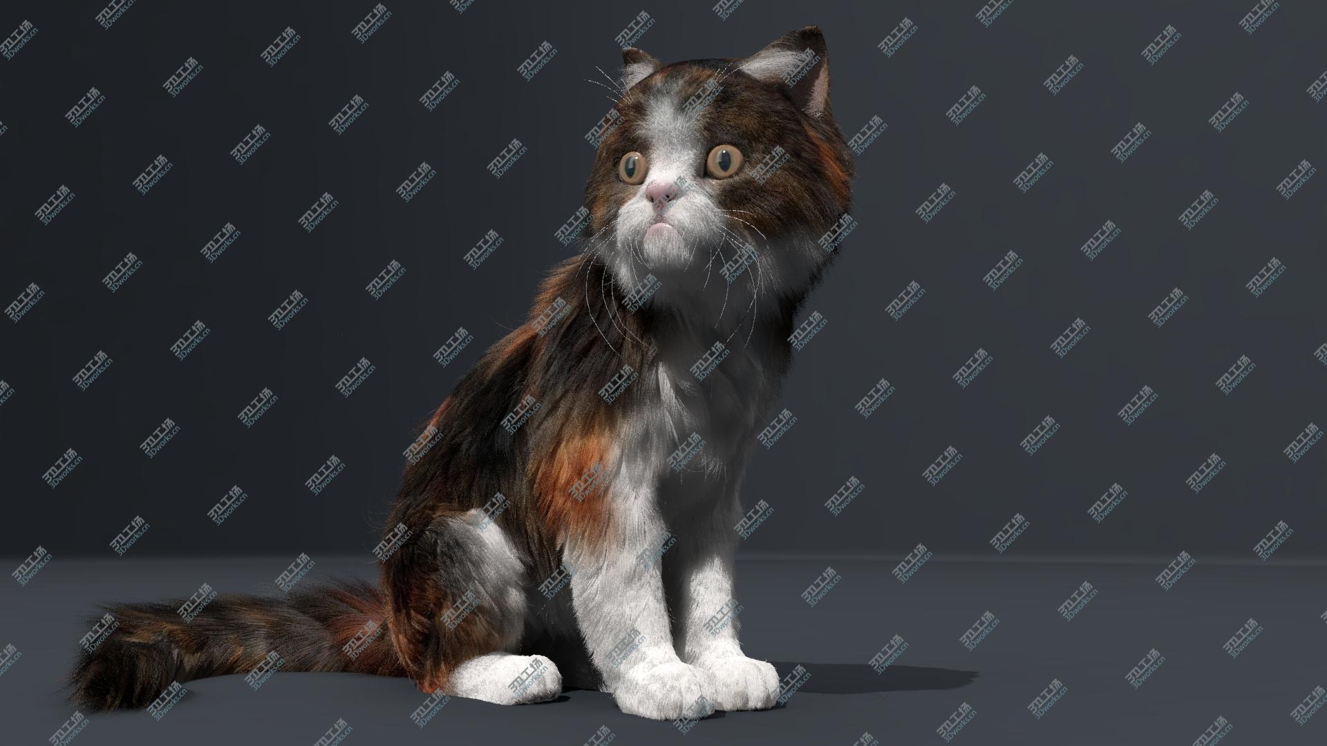 images/goods_img/2021040233/Cat Fur Animated1 3D model/5.jpg